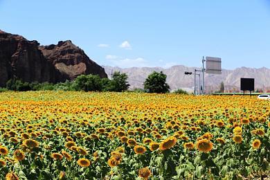 《上古卷轴5》安装1800多个MOD之后是这个效果